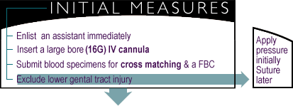 Initial Measures