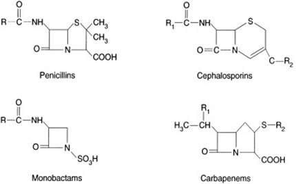 Structure differences between antibiotics