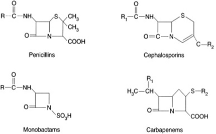 Antibiotic Allergy Cross Sensitivity Chart