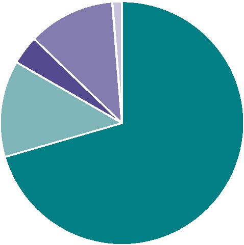 Figure 1 Pie Chart